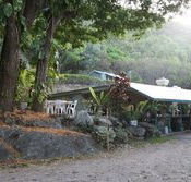 Ellis Beach Bar  Grill - Lismore Accommodation