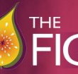 Pickled Fig