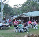 Bush Shack Brewery - Lismore Accommodation
