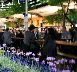 Quay Bar - Lismore Accommodation 0