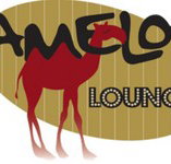 Camelot Lounge