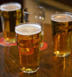 Plough Inn Hotel - Lismore Accommodation 2