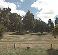 St Marys Sports Centre - Lismore Accommodation