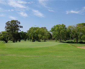 Singleton Golf Club - Lismore Accommodation 1