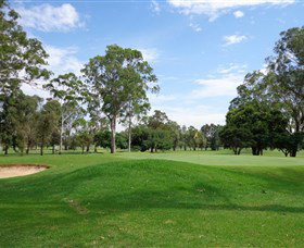 Singleton Golf Club - Lismore Accommodation 0