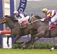 Gosford Race Club - Lismore Accommodation