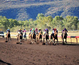 Alice Springs Turf Club - Lismore Accommodation 6