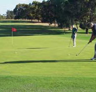 Waikerie Golf Club - Lismore Accommodation