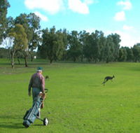 Coffin Bay Golf Club - Lismore Accommodation