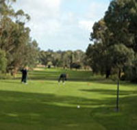 Mount Gambier Golf Club - Lismore Accommodation