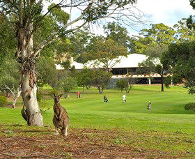 Pambula Merimbula Golf Club - Lismore Accommodation 0