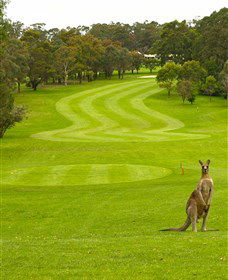 Pambula Merimbula Golf Club - Lismore Accommodation 2