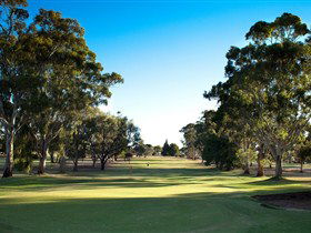Pyap SA Lismore Accommodation