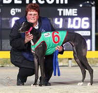 Bulli Greyhound Racing Club