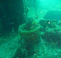 Wallaroo Scuba Club - Lismore Accommodation
