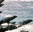 Bondi Social - Lismore Accommodation