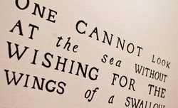 30 Knots - Lismore Accommodation 2