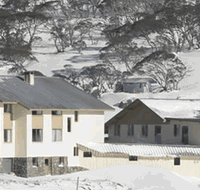 The White Spider - Lismore Accommodation