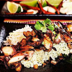 Agave Restaurante Mexicano - Lismore Accommodation 4