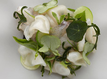 Quay - Lismore Accommodation 1