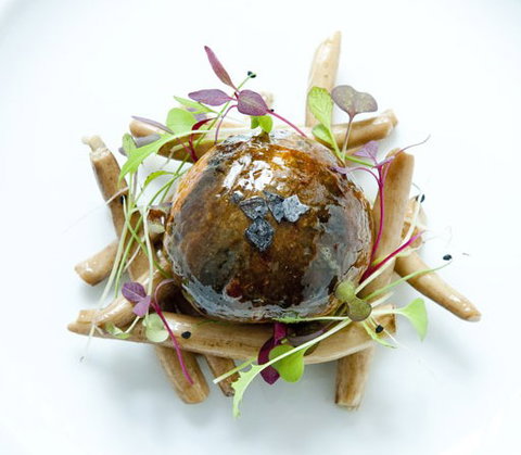 Sepia - Lismore Accommodation 4