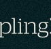 Dumpling Republic - Lismore Accommodation