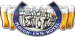 Plough Inn Hotel - Lismore Accommodation 0