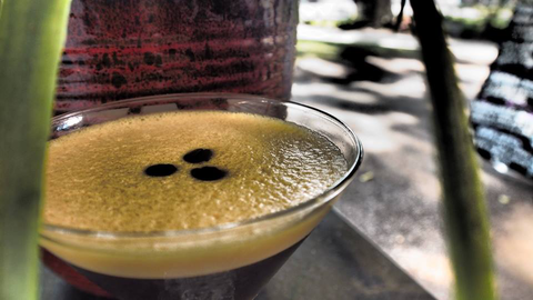 Viva La Vida Wine & Tapas Bar - Lismore Accommodation 2