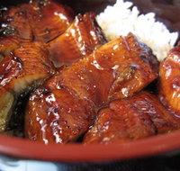 Mino Japanese Restaurant - Lismore Accommodation