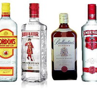 Mount Surprise Hotel - Lismore Accommodation