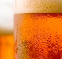 Coledale Fine Wines - Lismore Accommodation