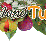 Bushland Tukka Cafe  Catering - Lismore Accommodation