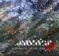 Antica Australis - Winter Fire Festival - Lismore Accommodation