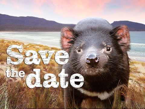 Art Group Longford - Lismore Accommodation 0