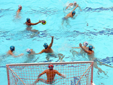 Australian Youth Water Polo Championships - Lismore Accommodation 0