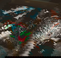 Australian Tattoo Expo - Lismore Accommodation