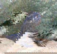 Bathurst Arts Trail - Lismore Accommodation