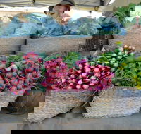 Berry Farmers' Market - Lismore Accommodation