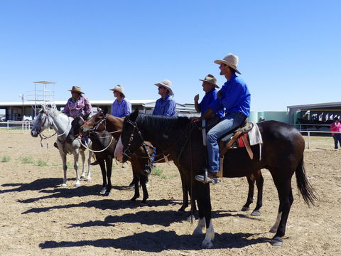 Betoota Horse And Motorbike Gymkhana - Lismore Accommodation 1