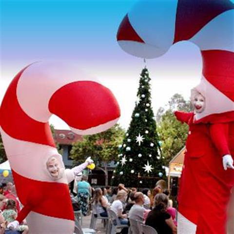 Blacktown Christmas Light Up Concert - Lismore Accommodation 0