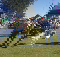 Casino Golf Club Markets - Lismore Accommodation