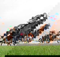 Christmas Cup Race Day - Lismore Accommodation