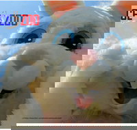 Easter Egg-stravaganza - Lismore Accommodation