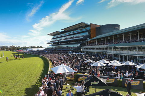George Main Stakes Day - Lismore Accommodation 1