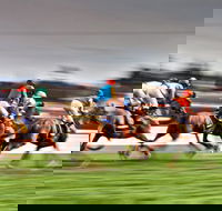 Grafton July Racing Carnival - Lismore Accommodation
