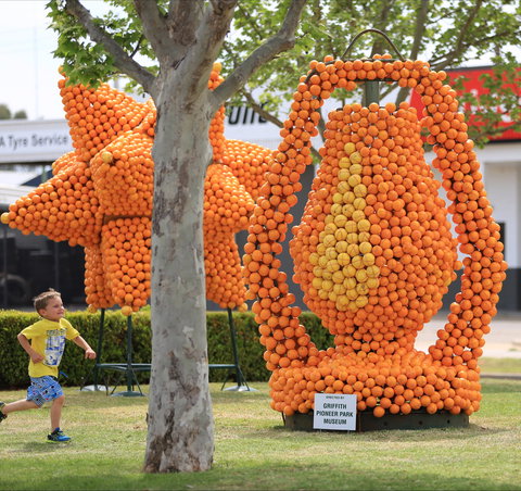 Griffith Spring Fest - Lismore Accommodation 1