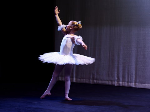 Hamilton Eisteddfod - Lismore Accommodation 2