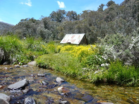 Hedonistic Hiking's Falls Creek To Hotham - Lismore Accommodation 0