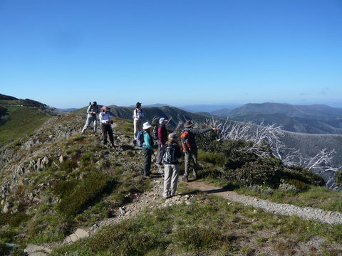Hedonistic Hiking's Falls Creek To Hotham - Lismore Accommodation 1