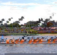 Jacaranda Dragon Boat Races - Lismore Accommodation